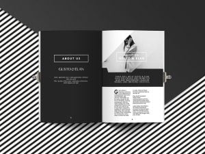 magazine