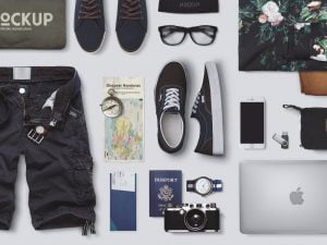 Traveler